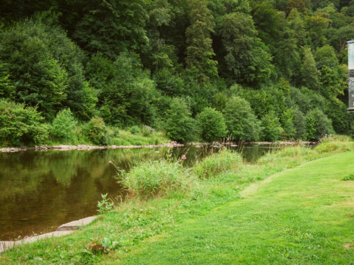 Camping Laviot LeBan 30-07-25 BY Gogor (12)